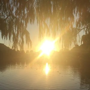 Meet your Posher, Neyra